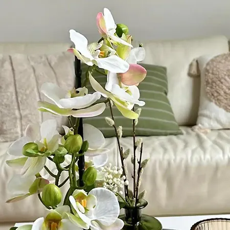 Pures Wohlfuehlen Mit Privater Sauna & Garten Апартаменты Мешеде