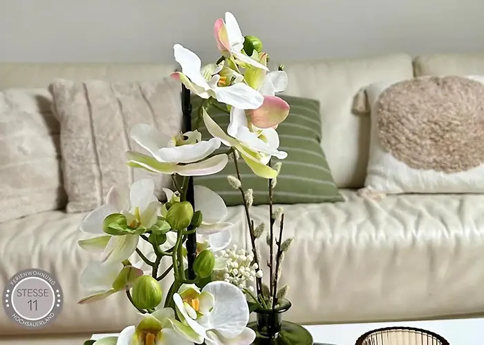 Pures Wohlfuehlen Mit Privater Sauna & Garten Apartman Meschede